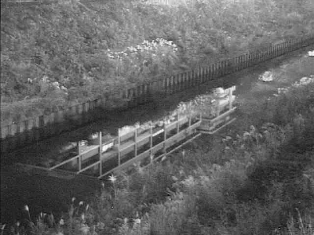 柏尾川 元町橋付近のカメラ画像