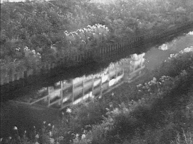 柏尾川 元町橋付近のカメラ画像