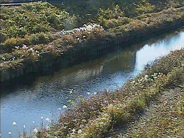 元町橋付近のカメラ画像