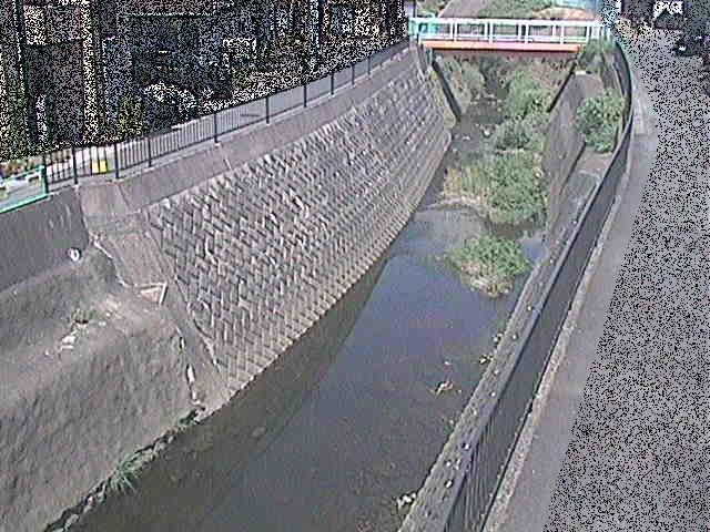 大岡川 埋田橋付近のカメラ画像