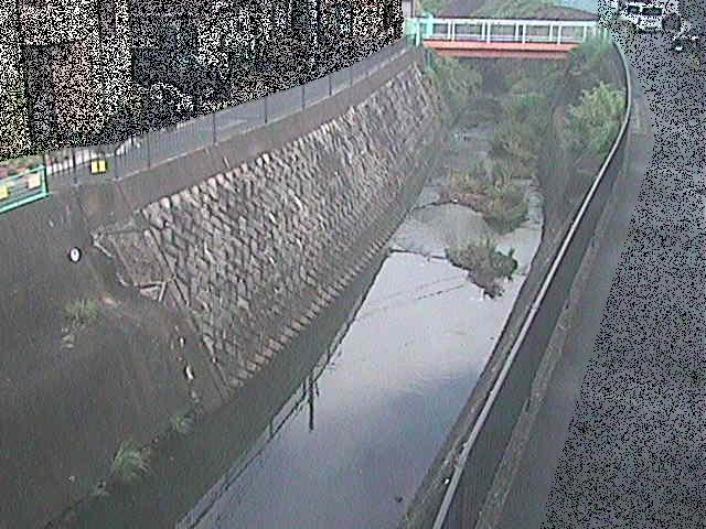 大岡川 埋田橋付近のカメラ画像