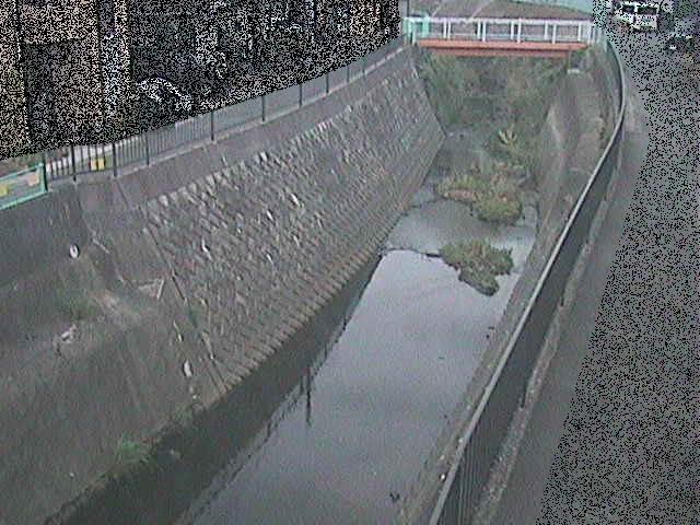 大岡川 埋田橋付近のカメラ画像