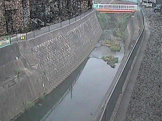 大岡川 埋田橋付近のカメラ画像