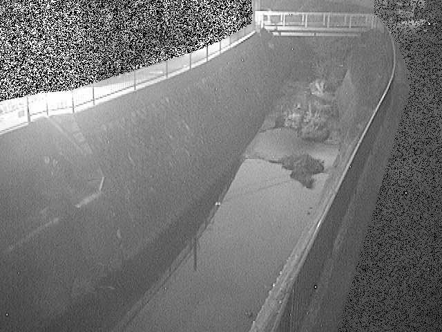 大岡川 埋田橋付近のカメラ画像