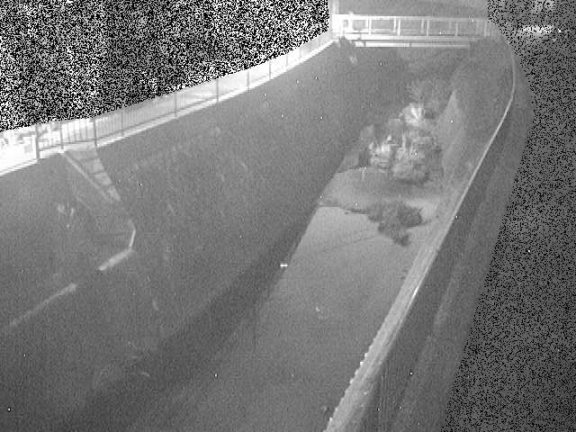 埋田橋付近のカメラ画像