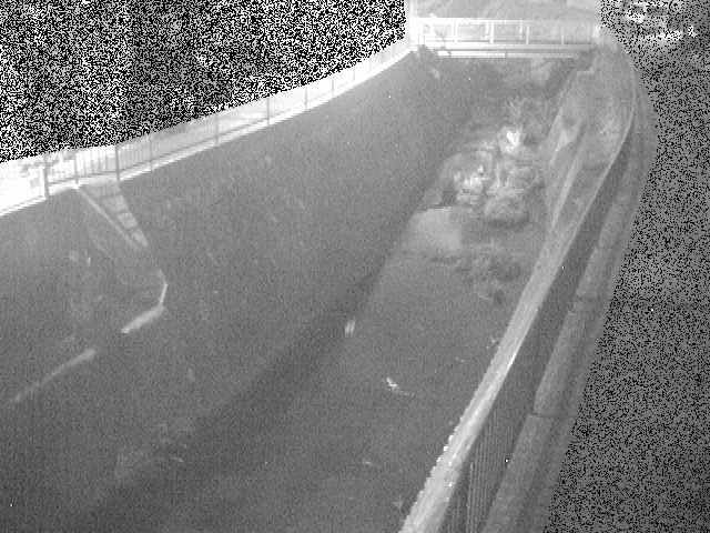 大岡川 埋田橋付近のカメラ画像