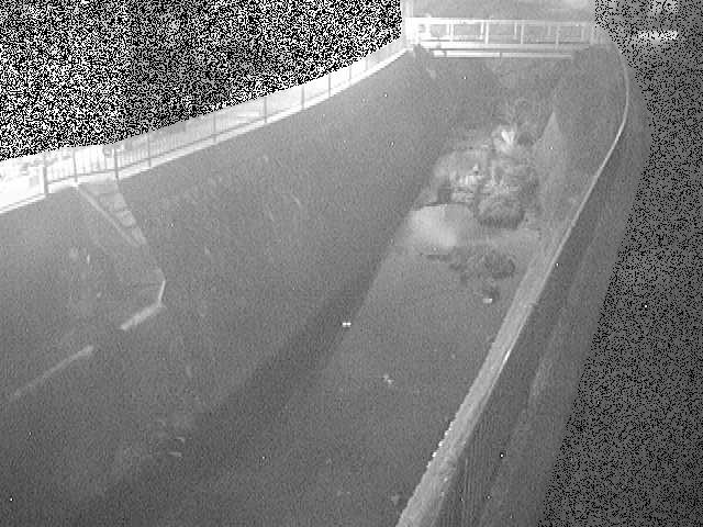 大岡川 埋田橋付近のカメラ画像