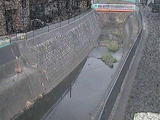 大岡川 埋田橋付近のカメラ画像