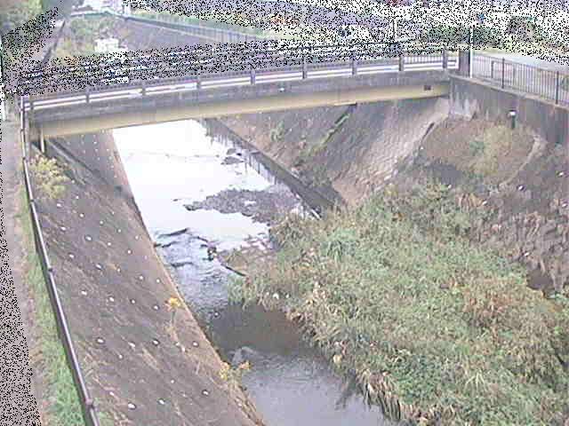 早淵川 鍛冶橋付近のカメラ画像