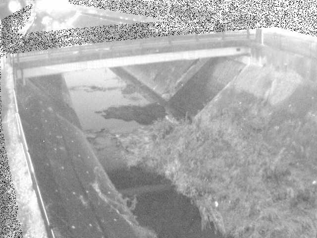 鍛冶橋付近のカメラ画像