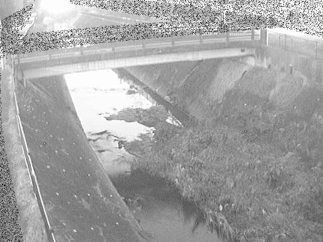 早淵川 鍛冶橋付近のカメラ画像