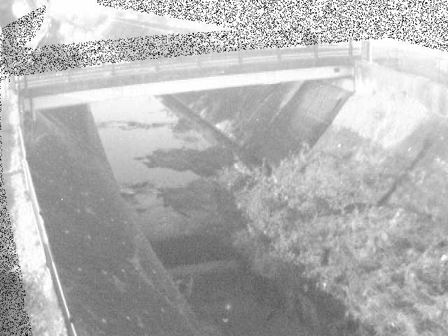 早淵川 鍛冶橋付近のカメラ画像