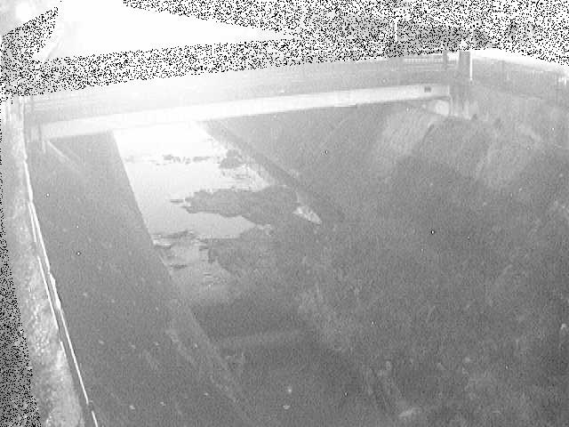 早淵川 鍛冶橋付近のカメラ画像