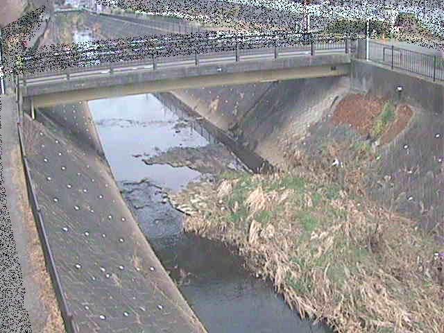 早淵川 鍛冶橋付近のカメラ画像
