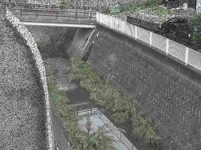 中堀川 愛宕白根橋付近のカメラ画像