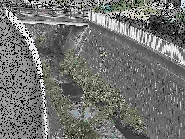 中堀川 愛宕白根橋付近のカメラ画像