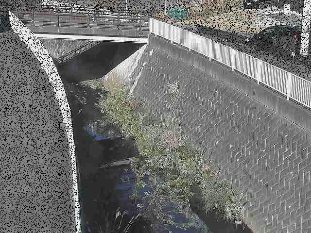 愛宕白根橋付近のカメラ画像