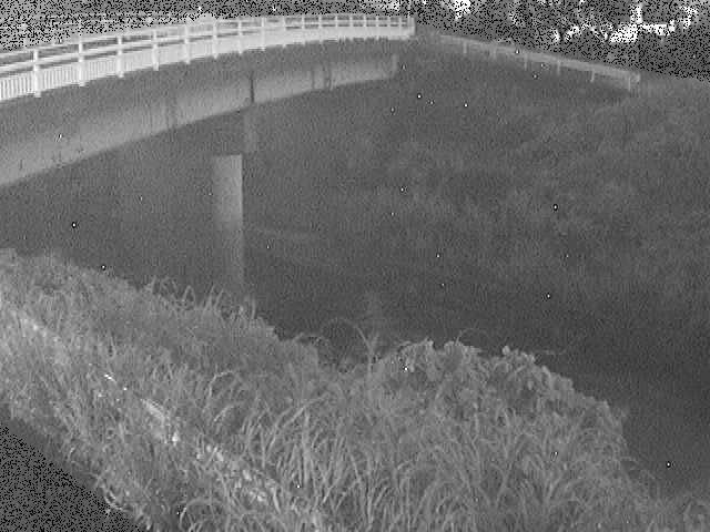 鶴見川 寺家橋付近のカメラ画像