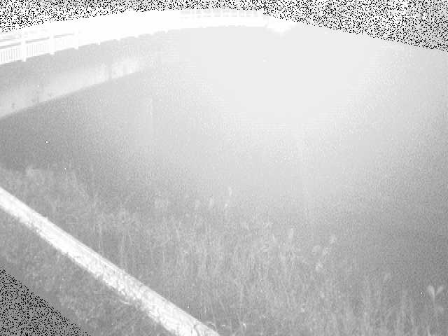 鶴見川 寺家橋付近のカメラ画像