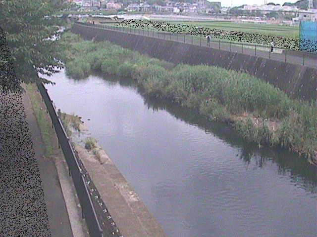 浅山橋付近のカメラ画像