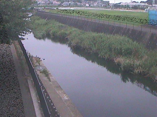 浅山橋付近のカメラ画像