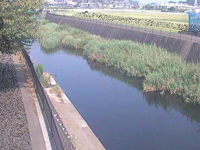 浅山橋付近のカメラ画像