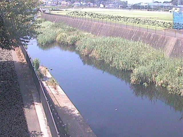 浅山橋付近のカメラ画像
