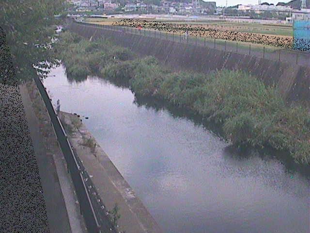 浅山橋付近のカメラ画像