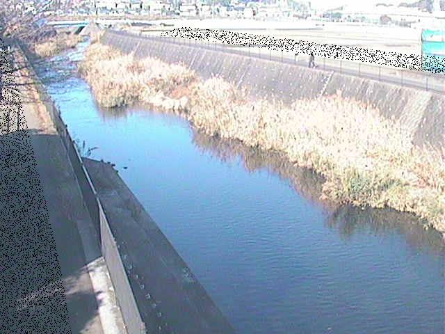 浅山橋付近のカメラ画像
