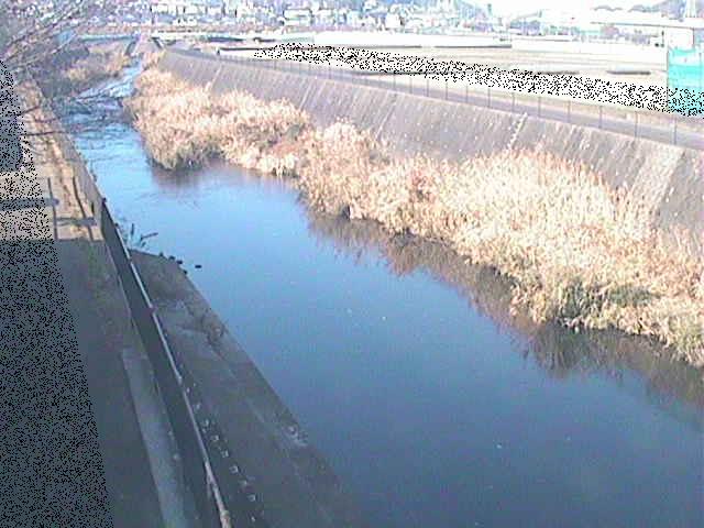 浅山橋付近のカメラ画像