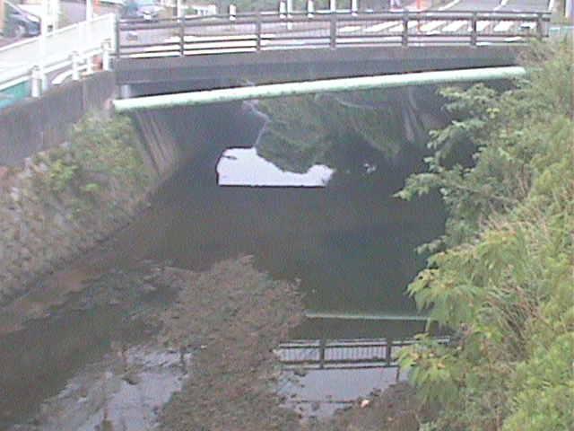 侍従川 六浦二号付近のカメラ画像