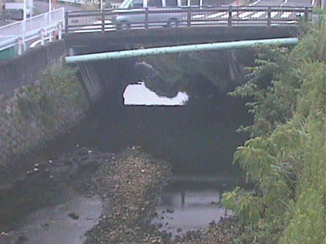 六浦二号付近のカメラ画像