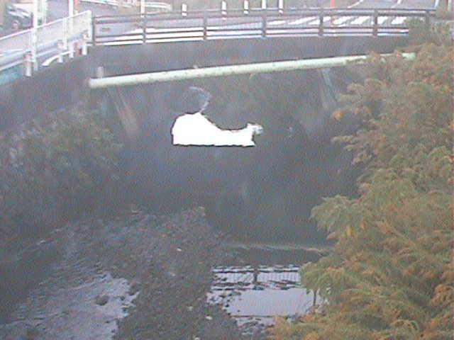 六浦二号付近のカメラ画像