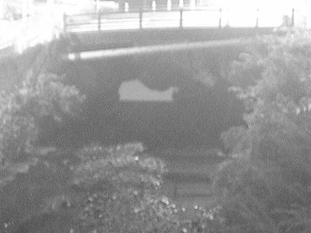 侍従川 六浦二号付近のカメラ画像