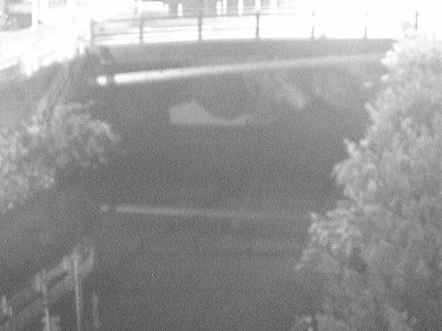 侍従川 六浦二号付近のカメラ画像