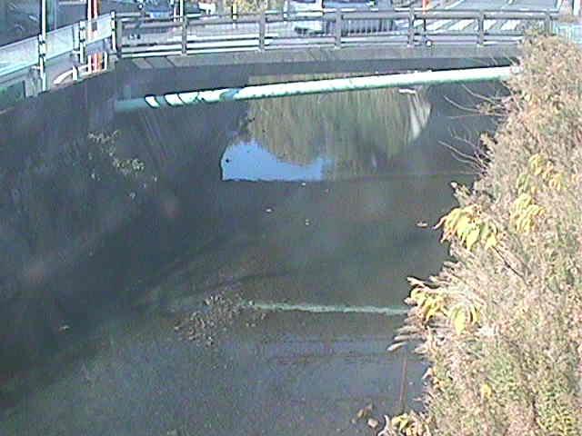 六浦二号付近のカメラ画像