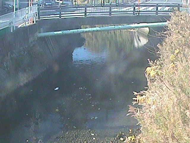 六浦二号付近のカメラ画像