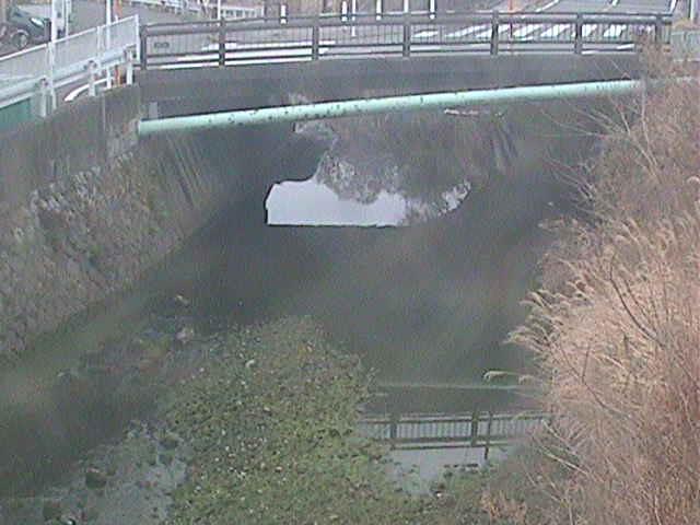 侍従川 六浦二号付近のカメラ画像