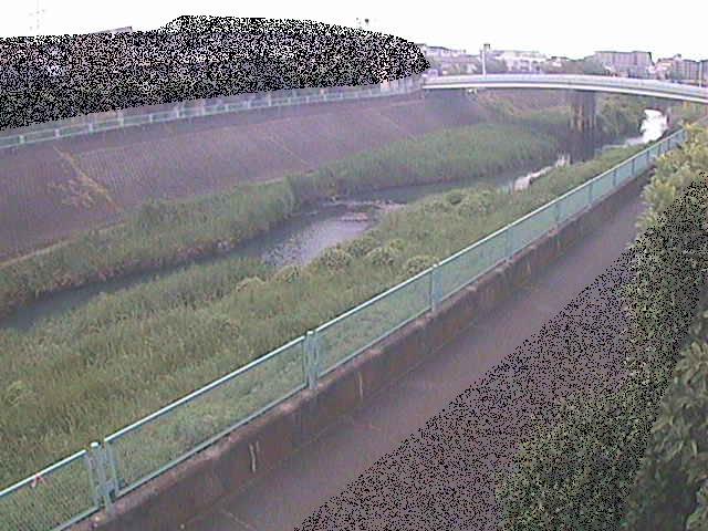 早淵川 高田橋付近のカメラ画像