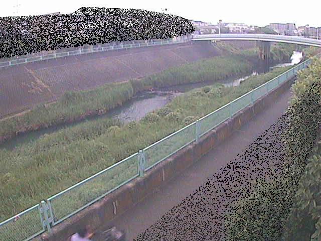 早淵川 高田橋付近のカメラ画像