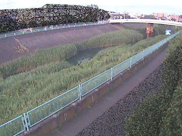 早淵川 高田橋付近のカメラ画像