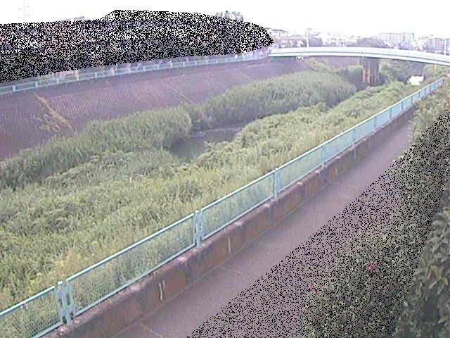 高田橋付近のカメラ画像