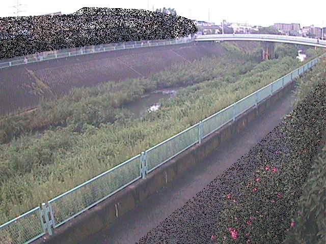 高田橋付近のカメラ画像