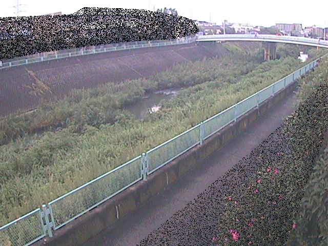 高田橋付近のカメラ画像