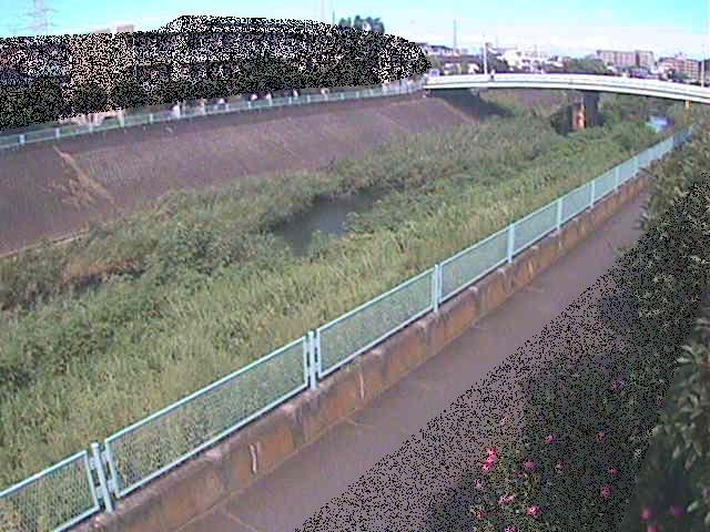 高田橋付近のカメラ画像