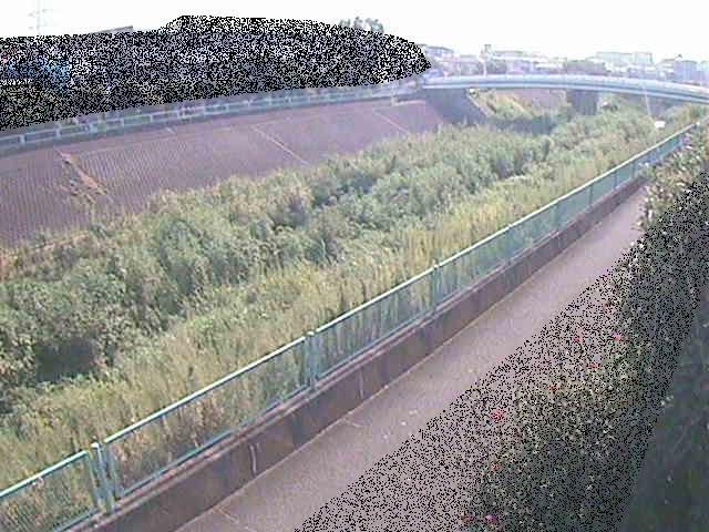 高田橋付近のカメラ画像