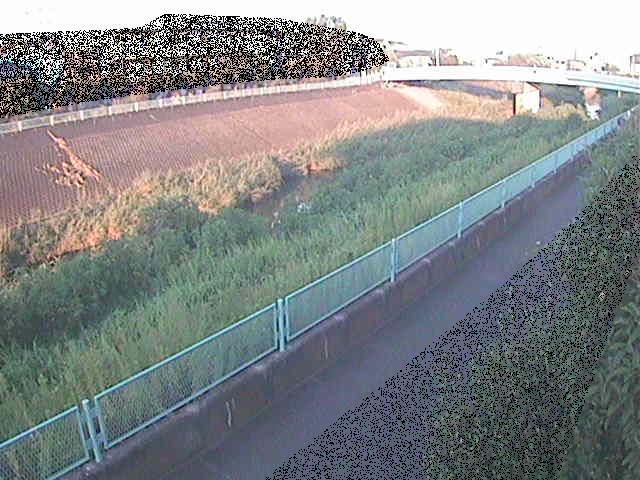 早淵川 高田橋付近のカメラ画像