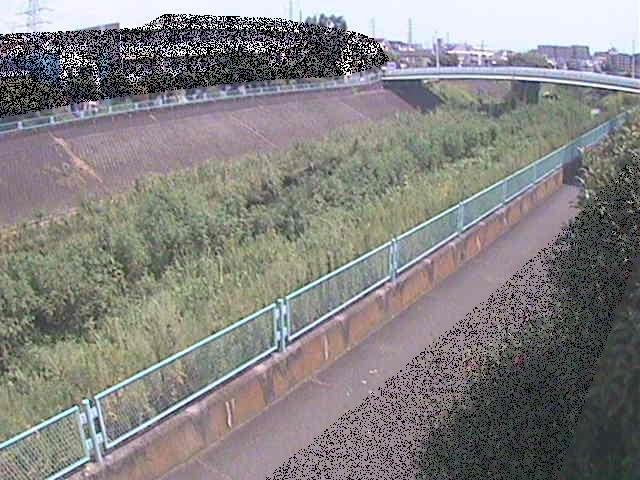 早淵川 高田橋付近のカメラ画像