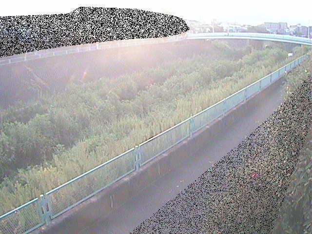 高田橋付近のカメラ画像
