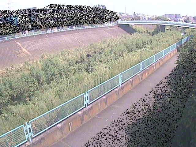 高田橋付近のカメラ画像